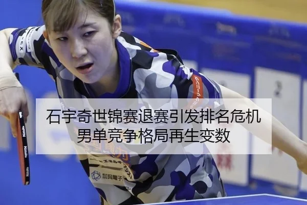 shi-yu-qi-shi-jin-sai-tui-sai-yin-fa-pai-ming-wei-ji-nan-dan-jing-zheng-ge-ju-zai-sheng-bian-shu-2-518.jpg